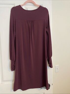 To the Max Long Sleeve Wine Shift Dress